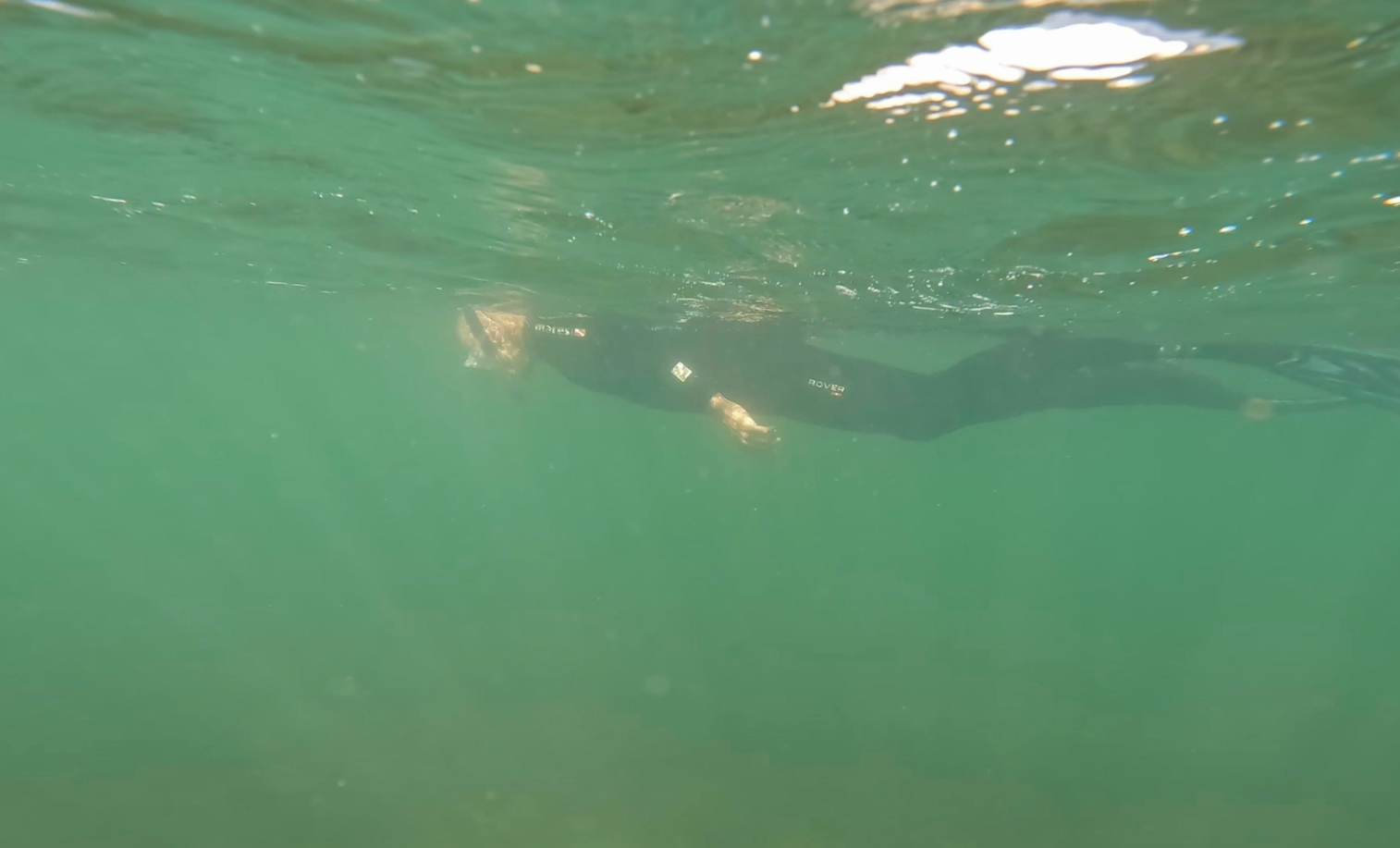 Guided Snorkel Tours in South England gallery 4