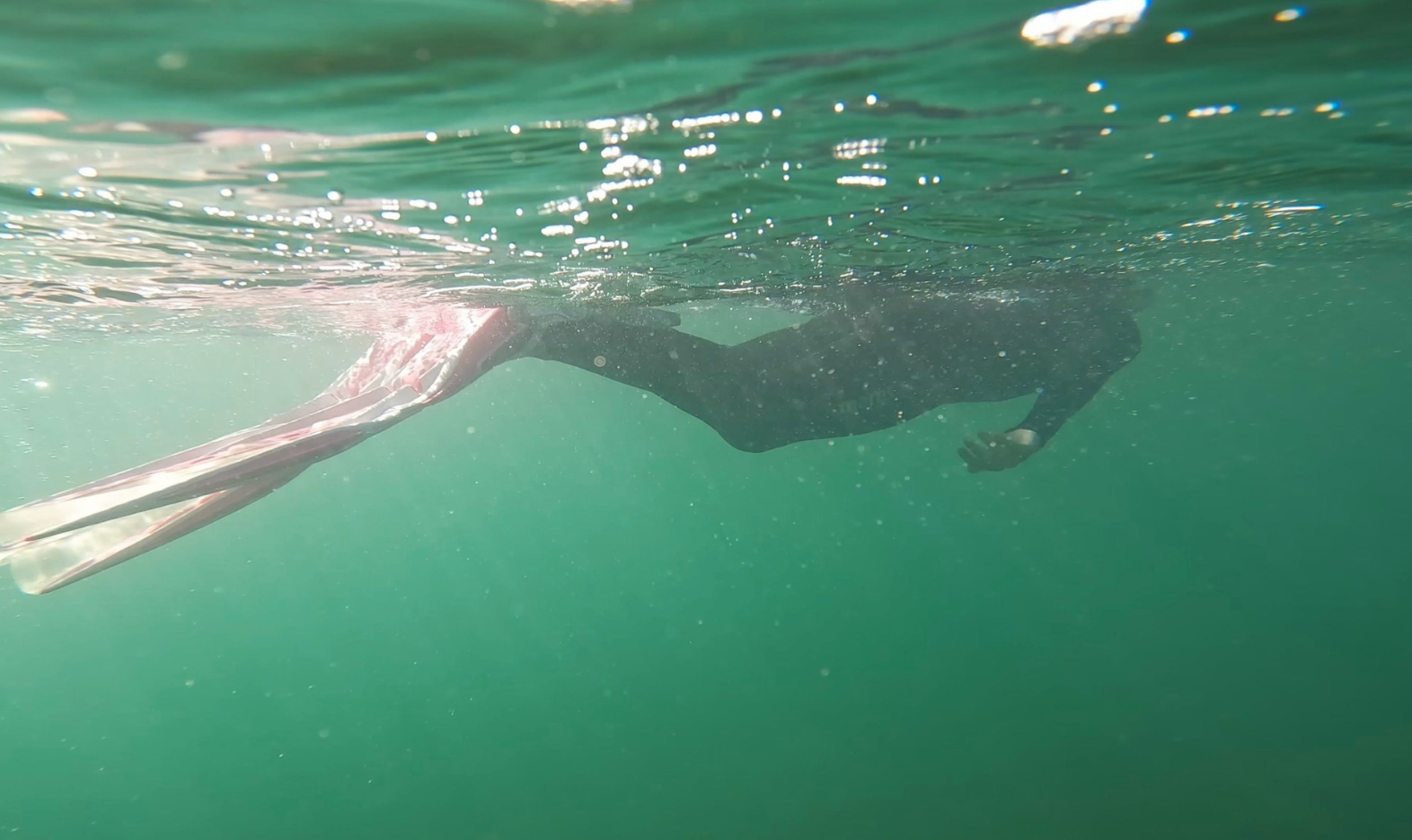 Guided Snorkel Tours in South England gallery 6