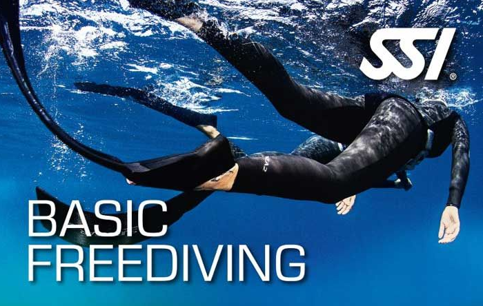 SSI Basic Freediver Course in Selsey, West Sussex gallery 4