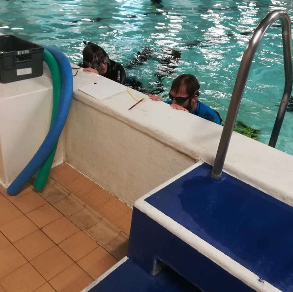 SSI Basic Freediver Course in Selsey, West Sussex, photo 5