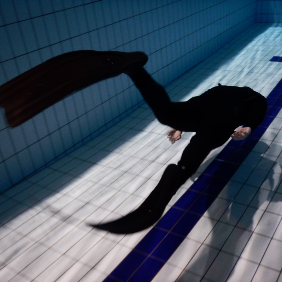 SSI Basic Freediver Course in Selsey, West Sussex, listing photo