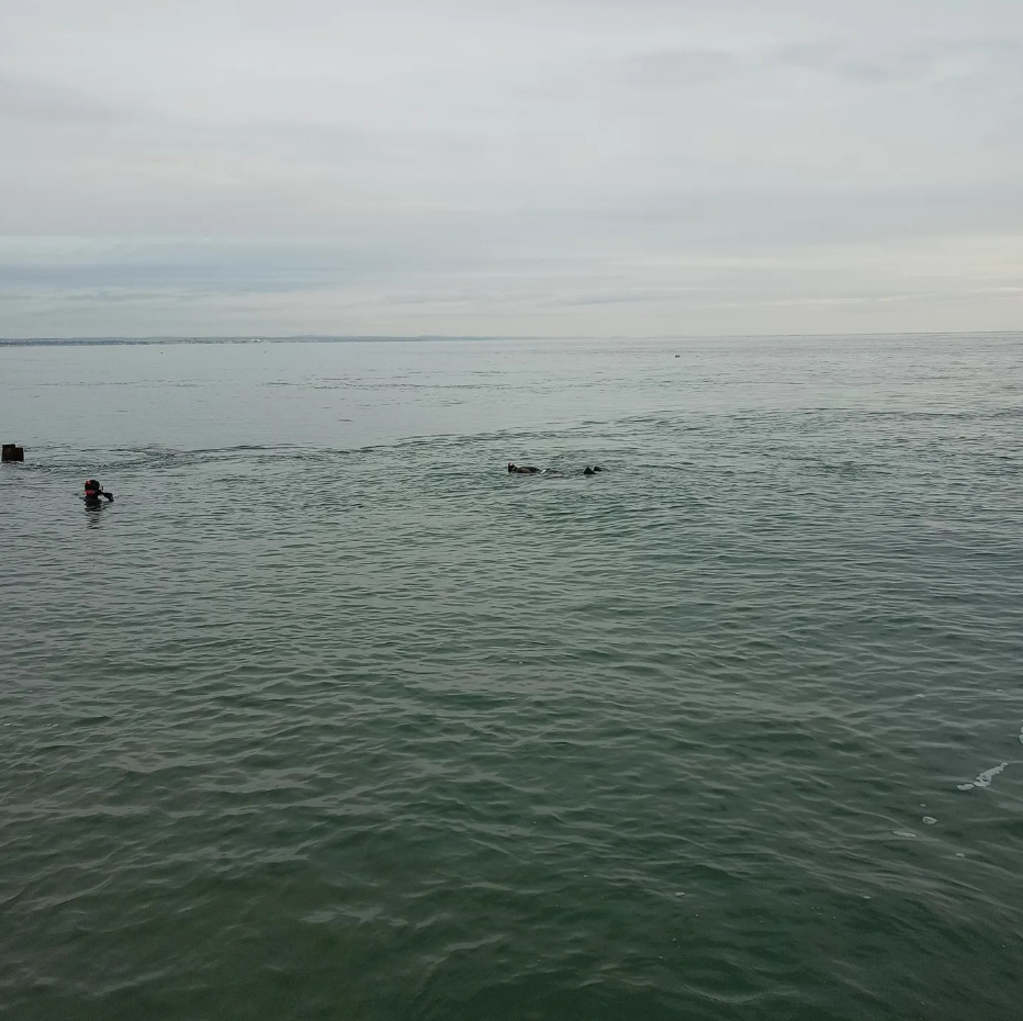 SSI Basic Freediver Course in Selsey, West Sussex gallery 2