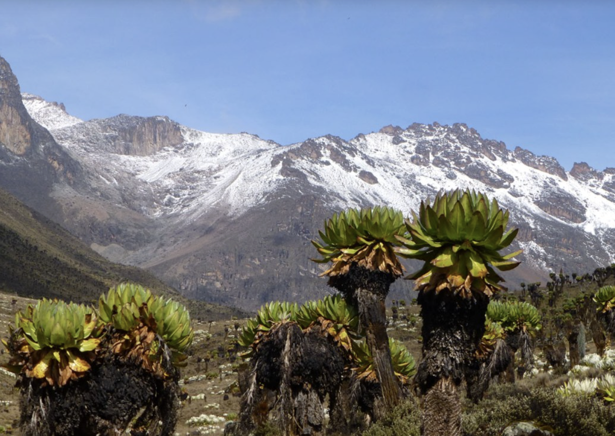 5-Day Guided Mount Kenya Traverse via Sirimon & Chogoria gallery 4