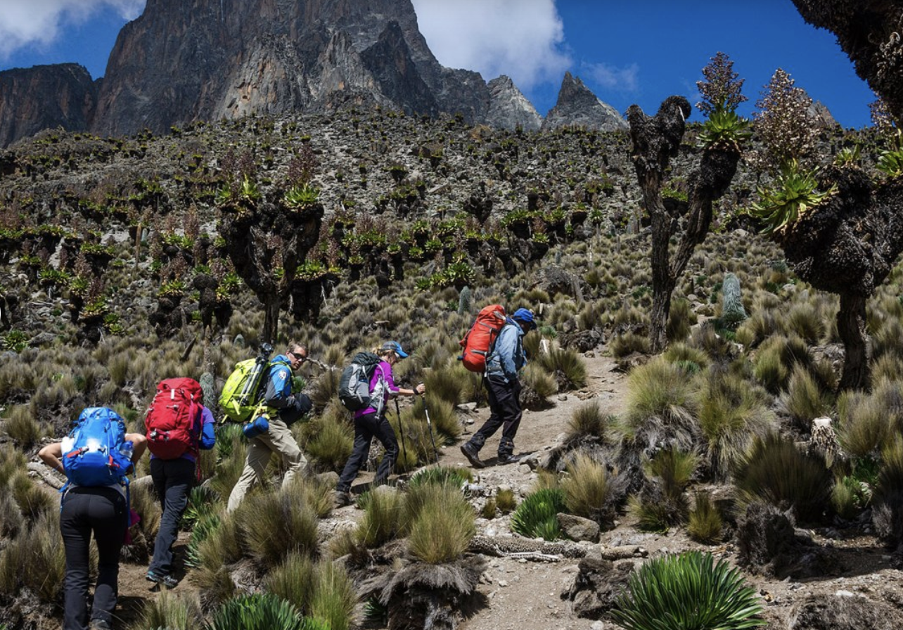 5-Day Guided Mount Kenya Traverse via Sirimon & Chogoria, photo 4