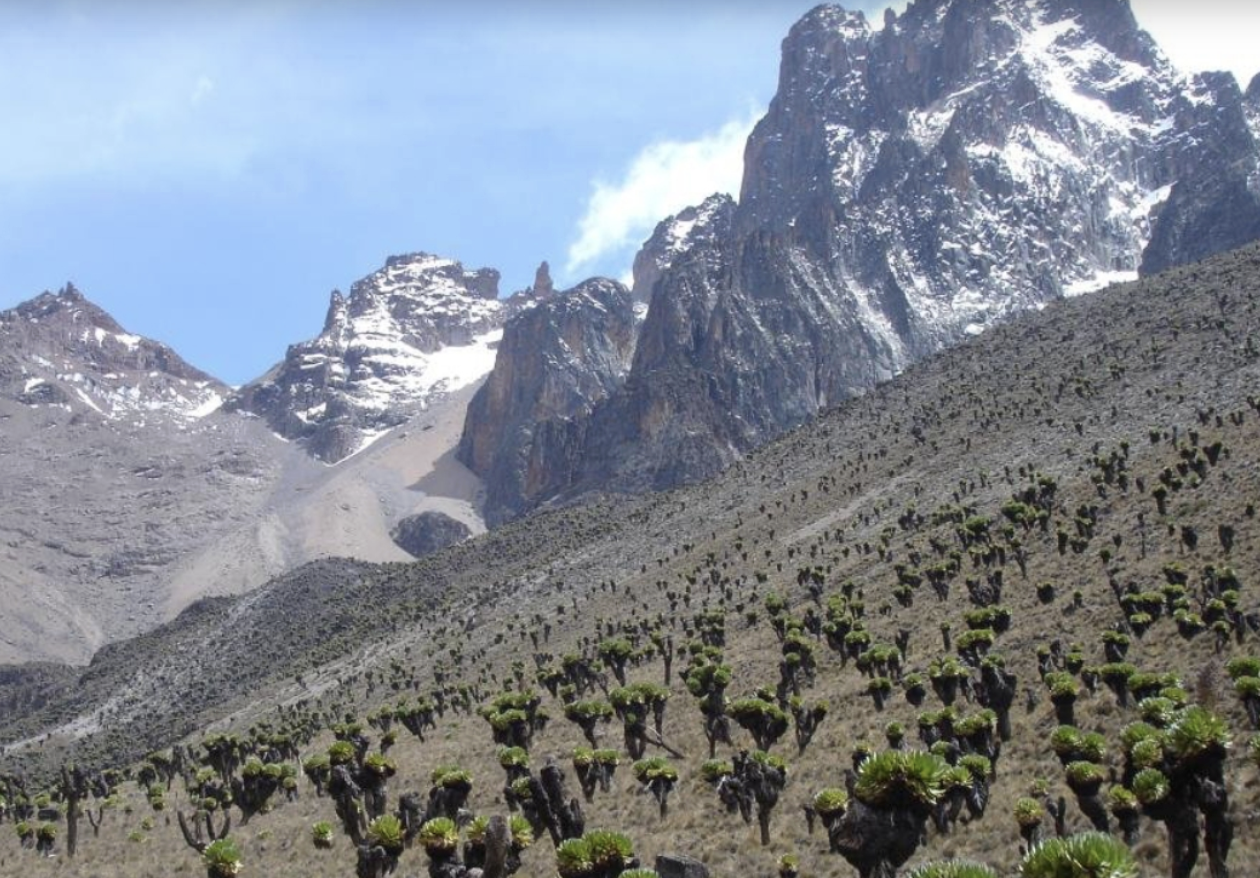 7-Day Guided Mount Kenya Traverse via Sirimon & Naro Moru gallery 2