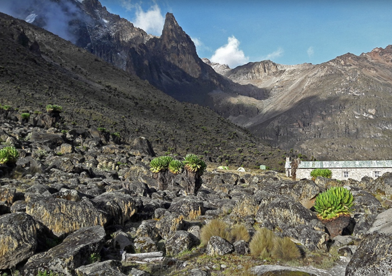 5 Days Guided Mt Kenya Hiking: Naro Moru Route, photo 4
