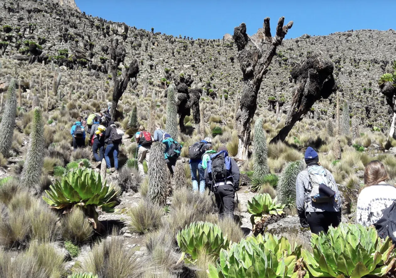 5-Day Guided Mount Kenya Traverse via Sirimon & Chogoria, photo 2