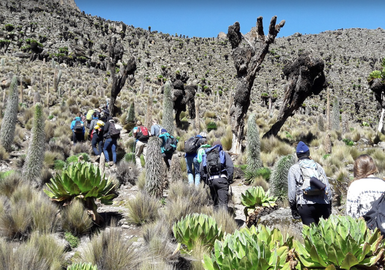 6-Day Guided Mount Kenya Traverse via Sirimon & Chogoria gallery 2