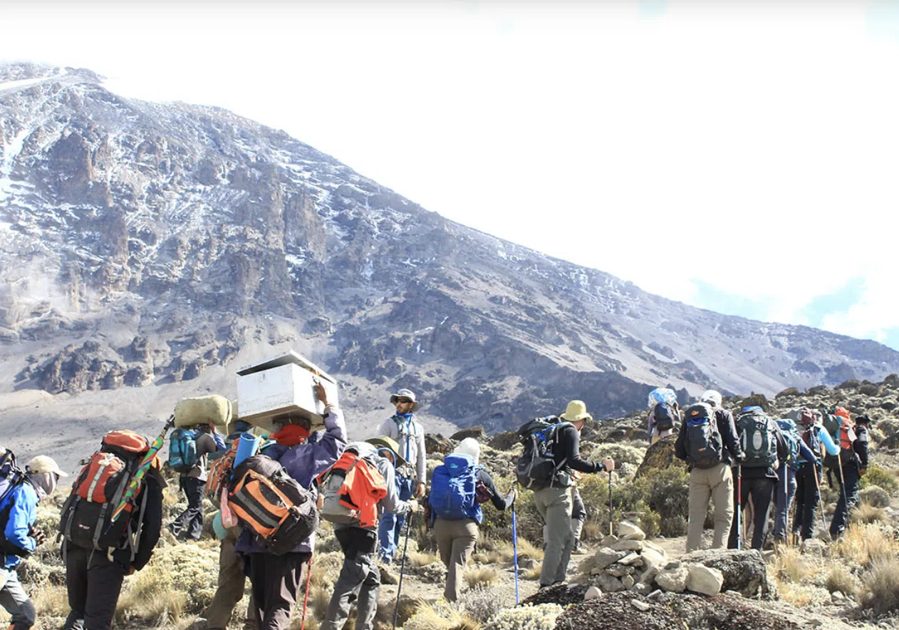 6-Day Kilimanjaro Ascent via Marangu Route, listing photo