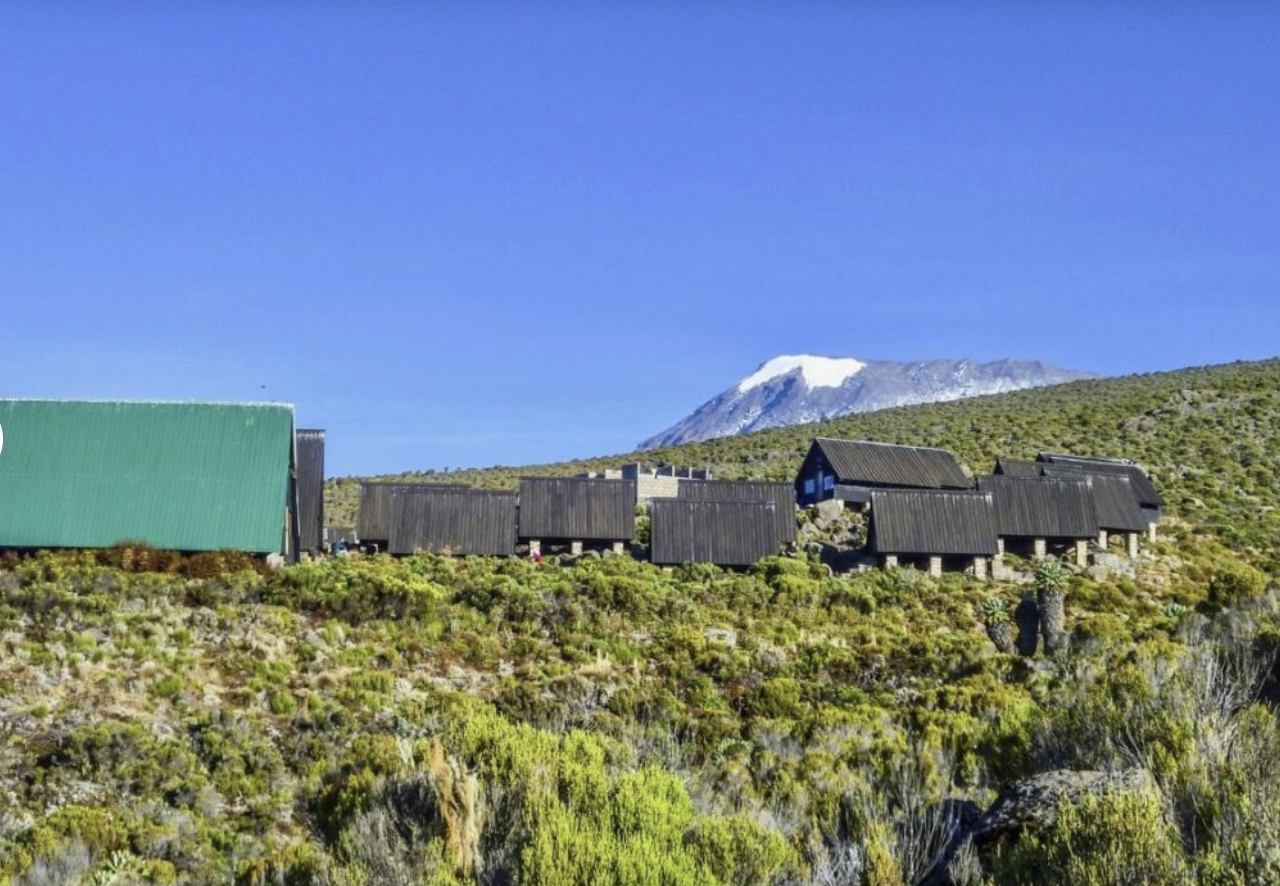 6-Day Kilimanjaro Ascent via Marangu Route, photo 4