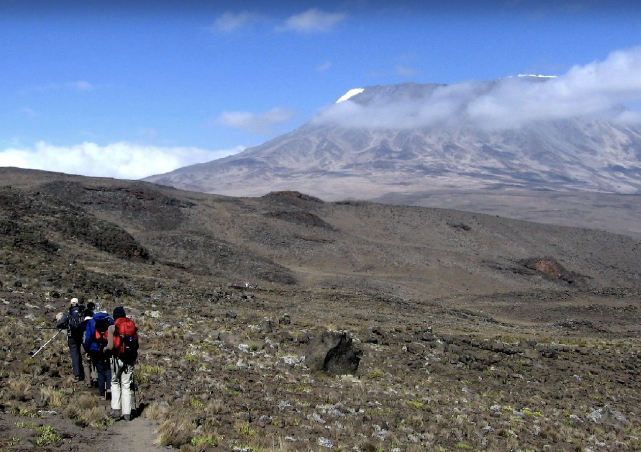 7-Day Guided Kilimanjaro Ascent via Rongai Route gallery 4