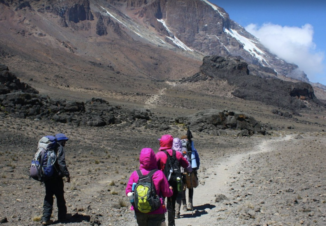 8-Day Guided Kilimanjaro Ascent via the Lemosho Route, photo 4