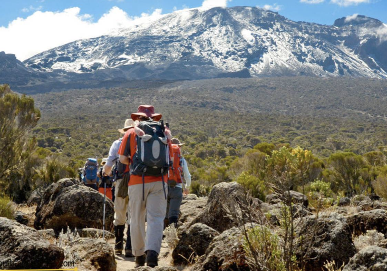 8-Day Guided Kilimanjaro Ascent via the Lemosho Route gallery 3