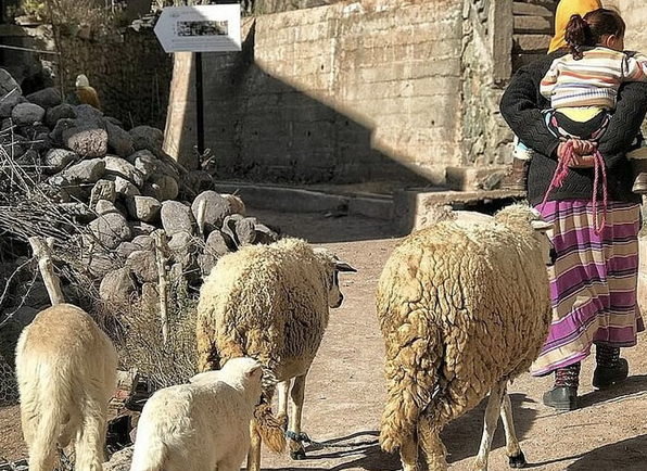 Marrakech to Atlas Mountains: Guided Day Trip with Hike gallery 3