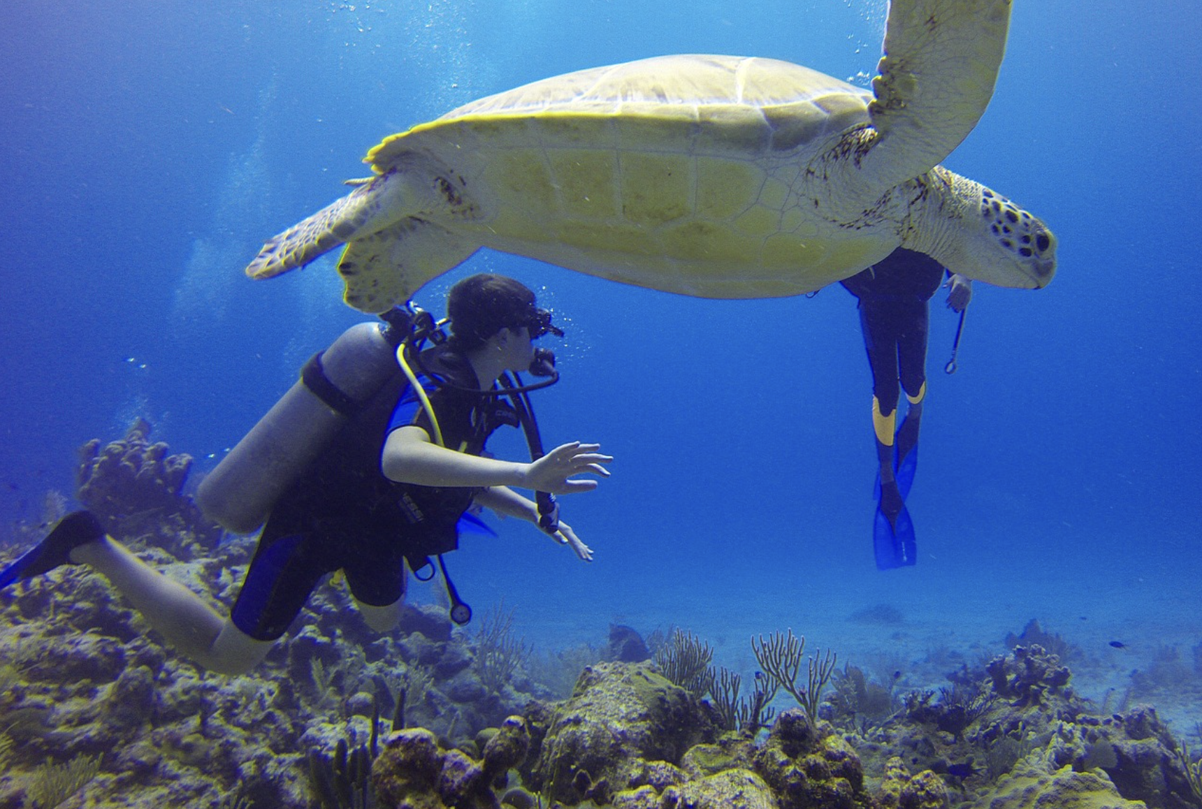 Discover Scuba Diving Experience in Dibba Al Fujairah, photo 5