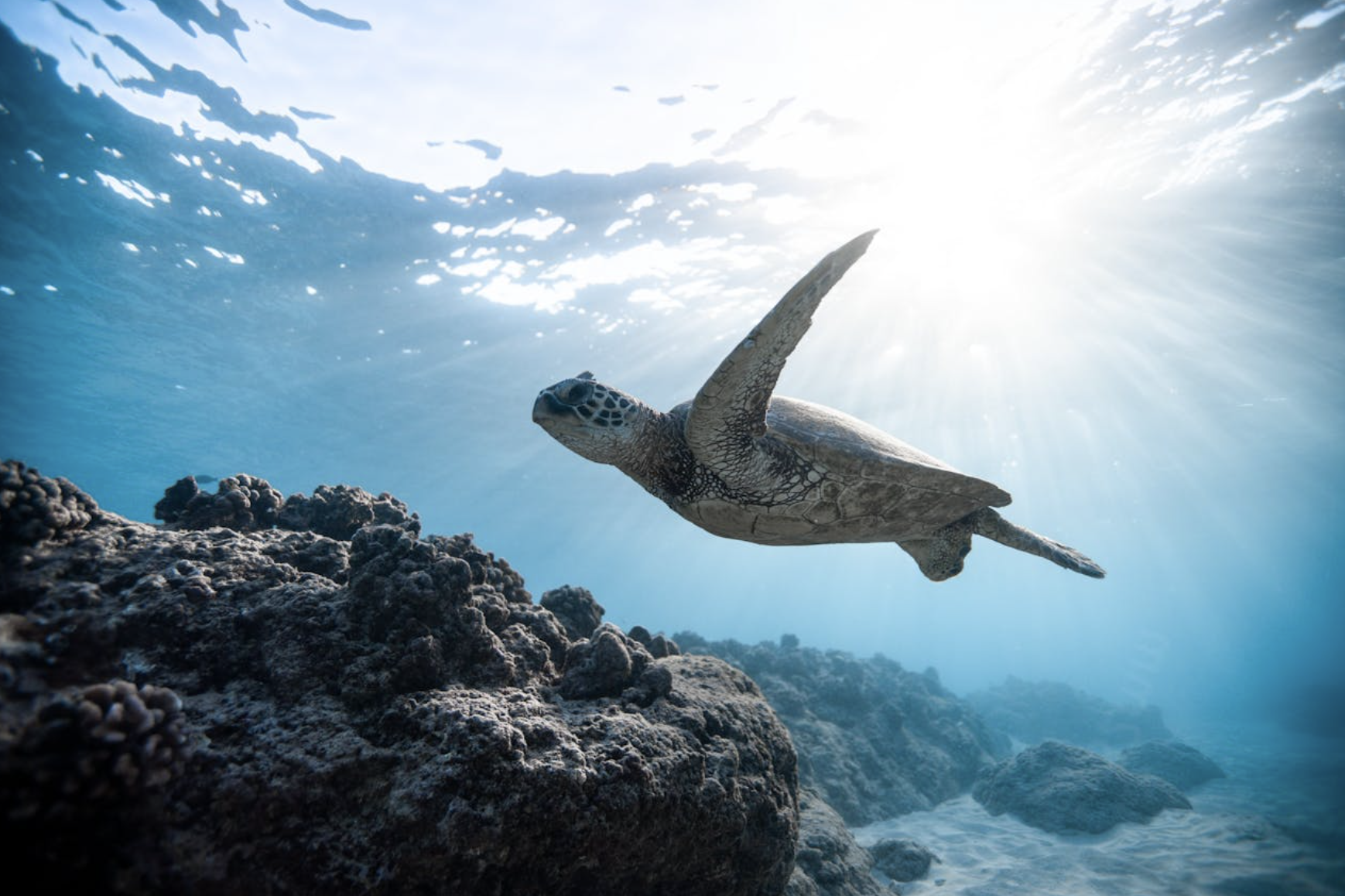 Discover Scuba Diving Experience in Dubai gallery 3