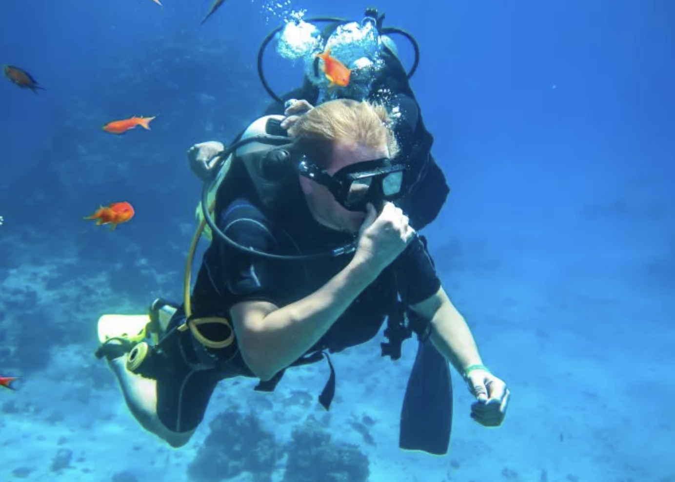 Basic Scuba Diving Course (2-Day Beginner Programme), photo 5