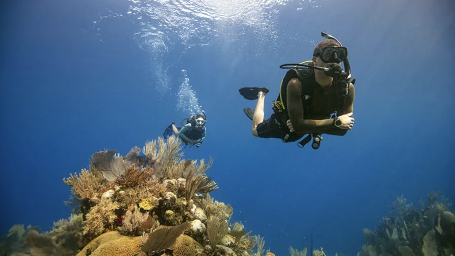 Basic Scuba Diving Course (2-Day Beginner Programme) gallery 2