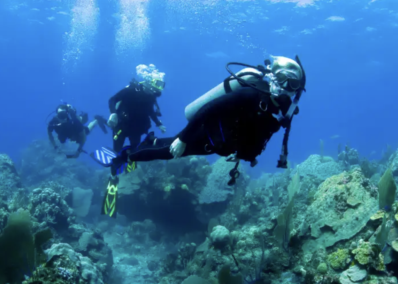PADI Open Water Diving Course in Dubai gallery 2