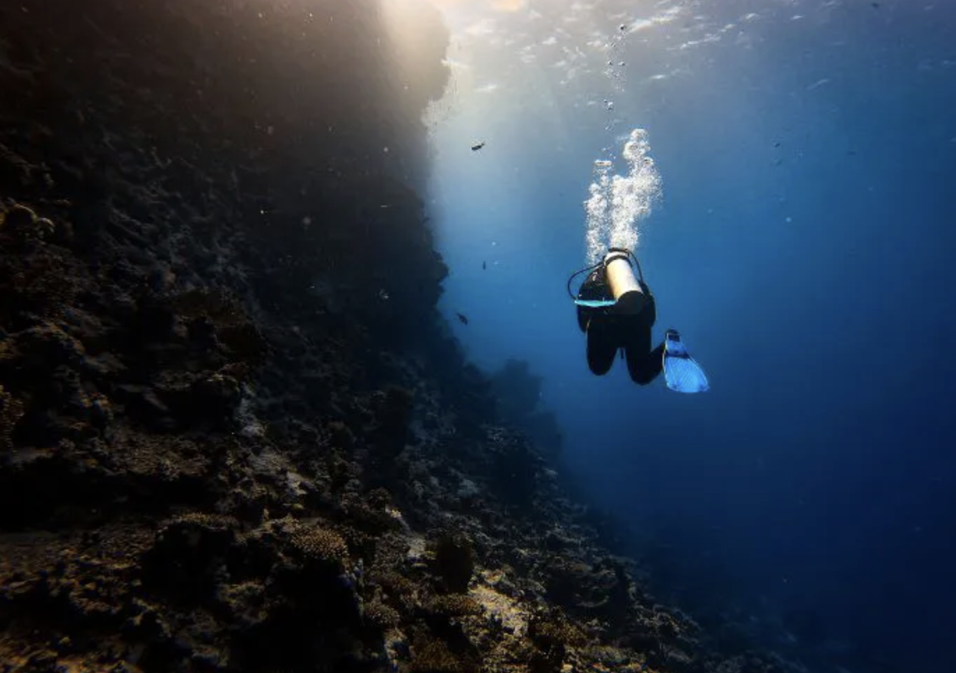 PADI Deep Diver Specialty Course (Up to 40m), photo 3