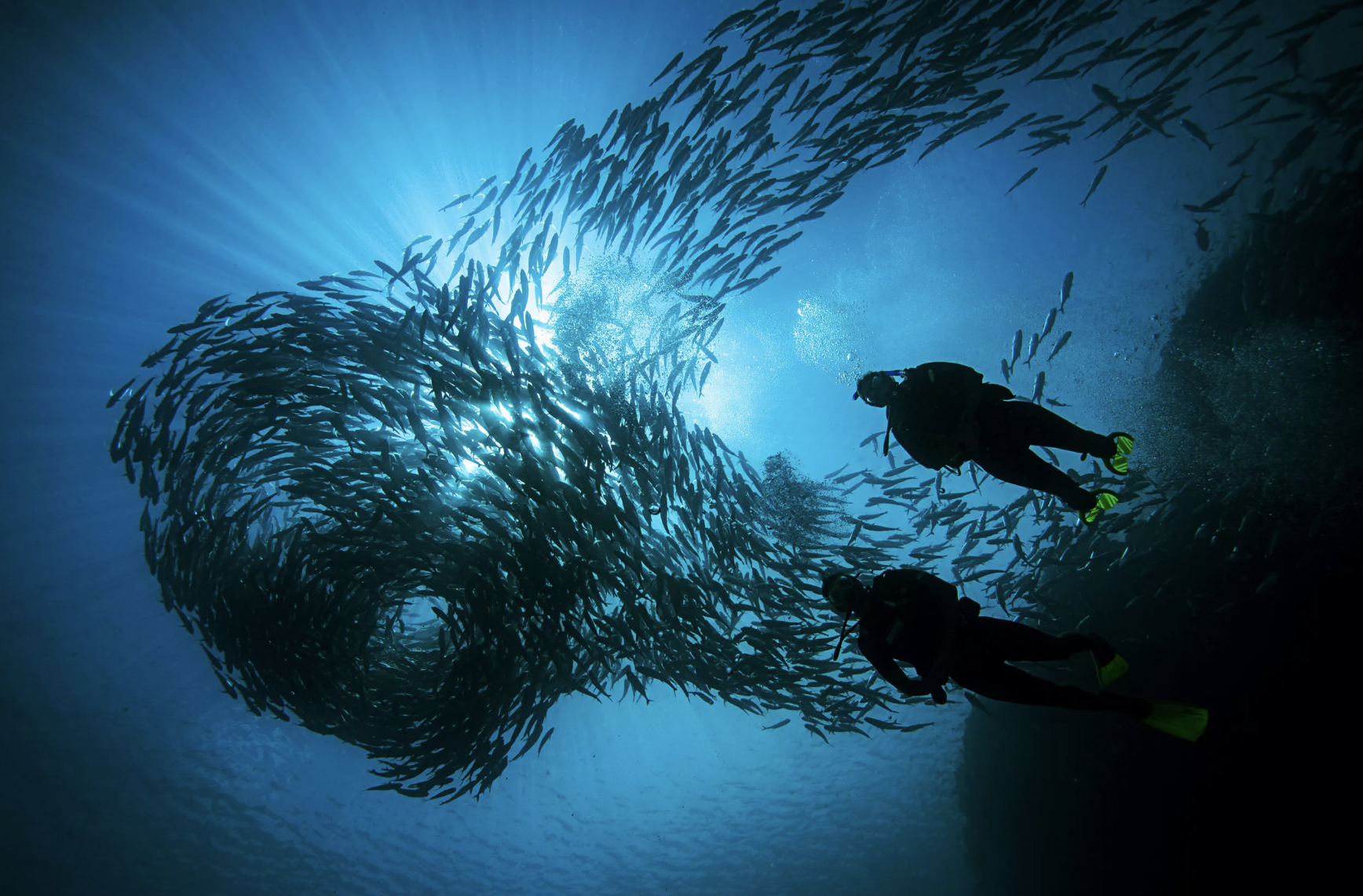 PADI Deep Diver Specialty Course (Up to 40m) gallery 3