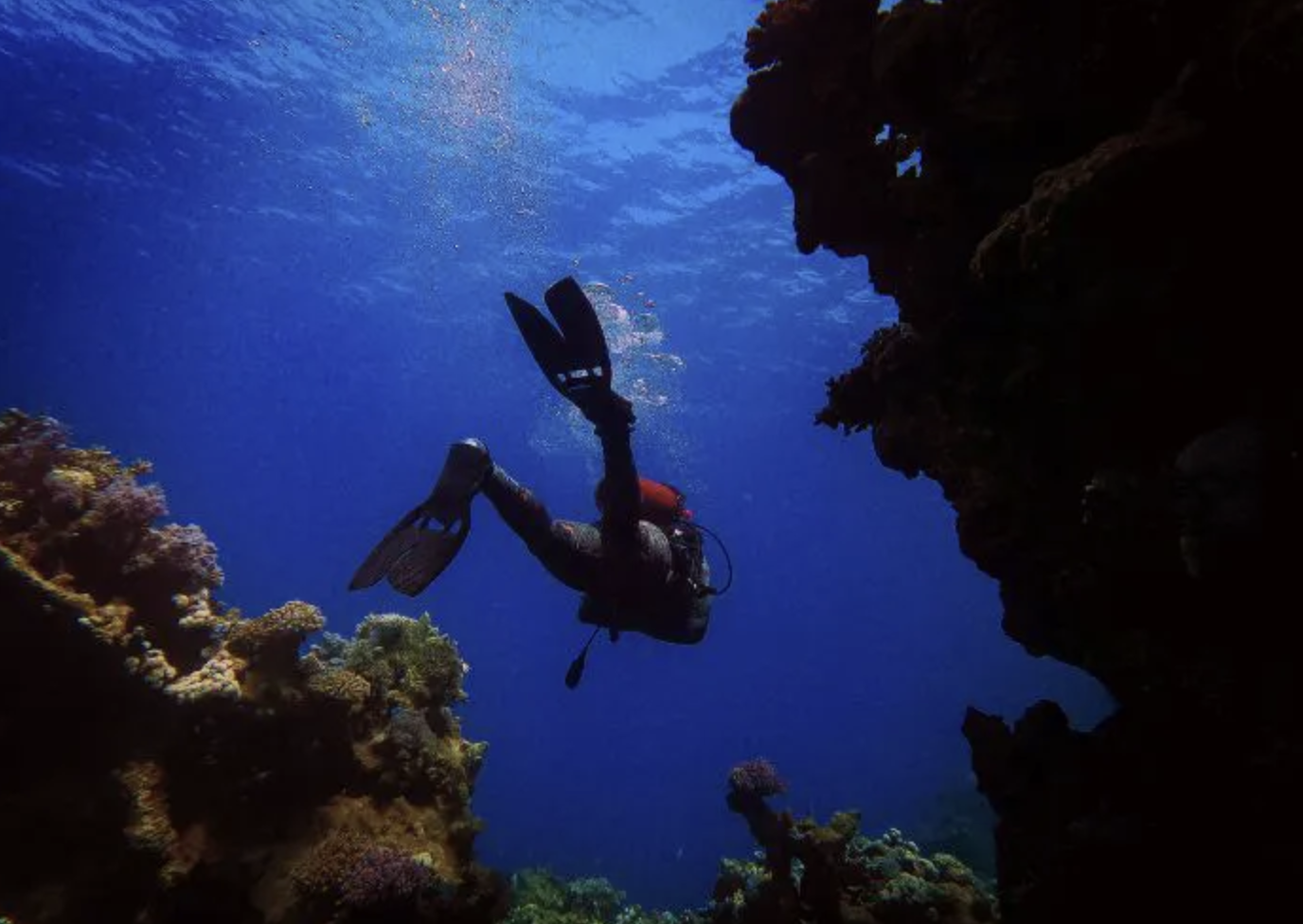 PADI Deep Diver Specialty Course (Up to 40m) gallery 2