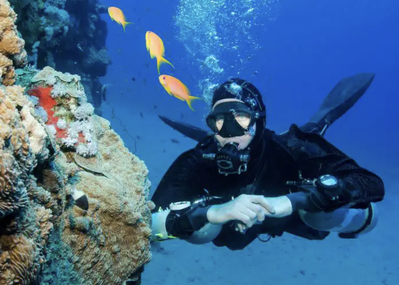 PADI Sidemount Diver Course, photo 5