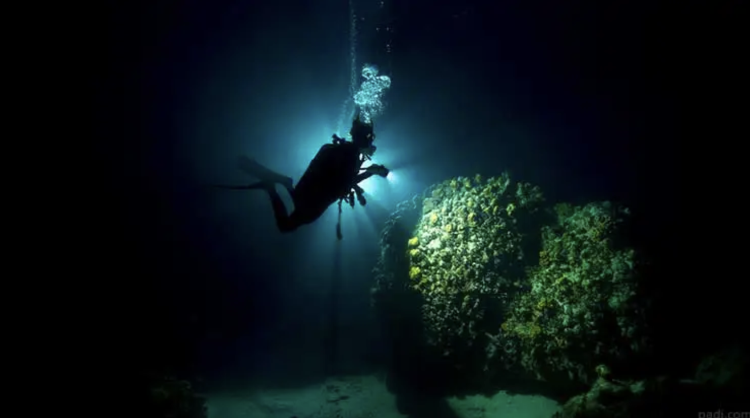 PADI Night Diver Specialty Course, photo 3