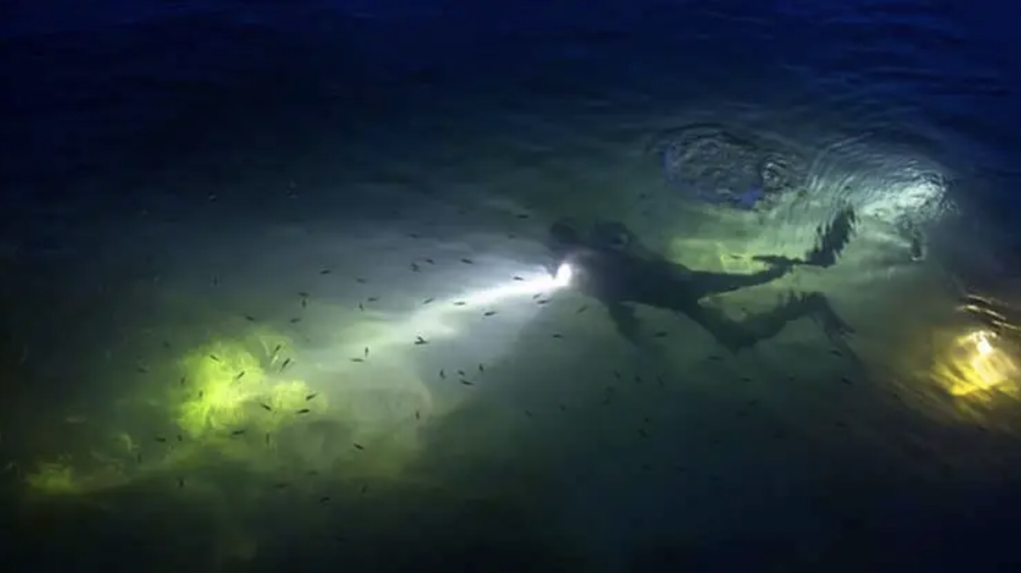 PADI Night Diver Specialty Course gallery 4