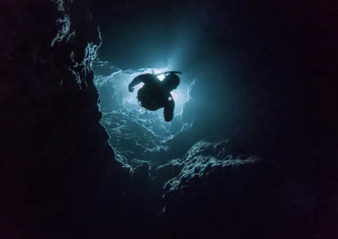 PADI Night Diver Specialty Course, photo 5