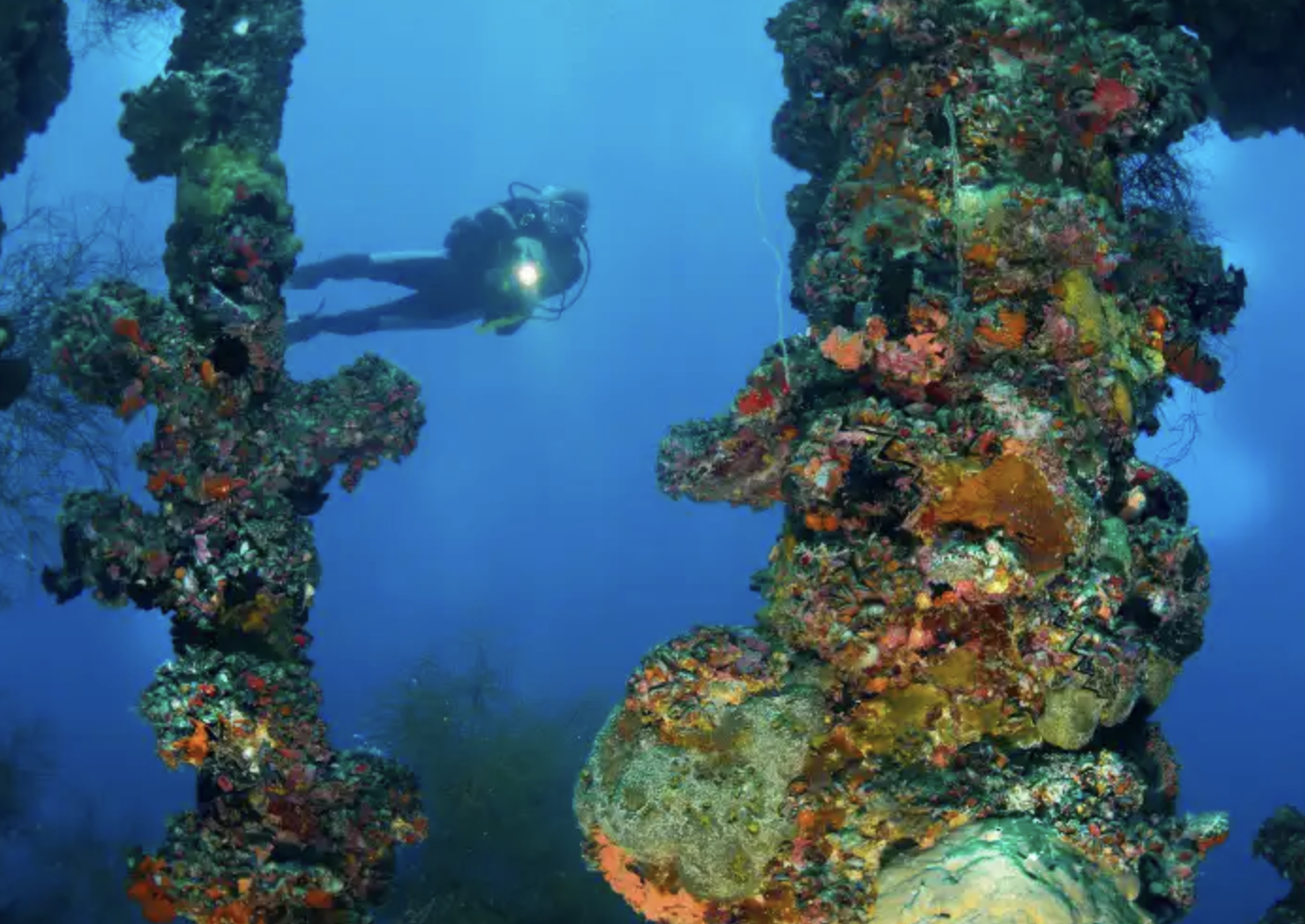 PADI Wreck Diver Specialty Course gallery 3