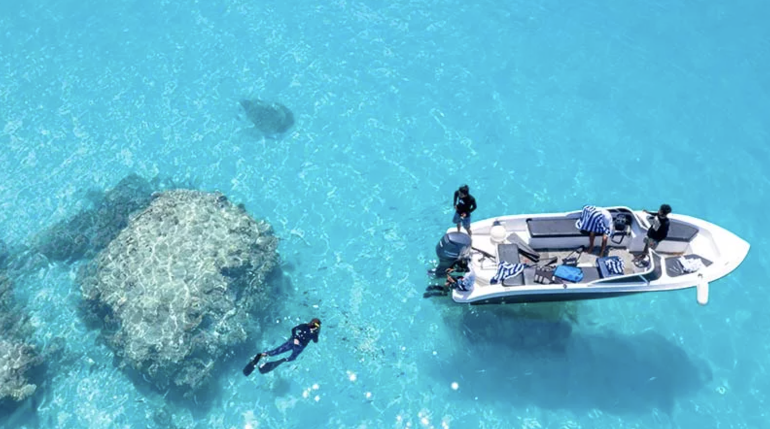 PADI Boat Diver Specialty Course, photo 4