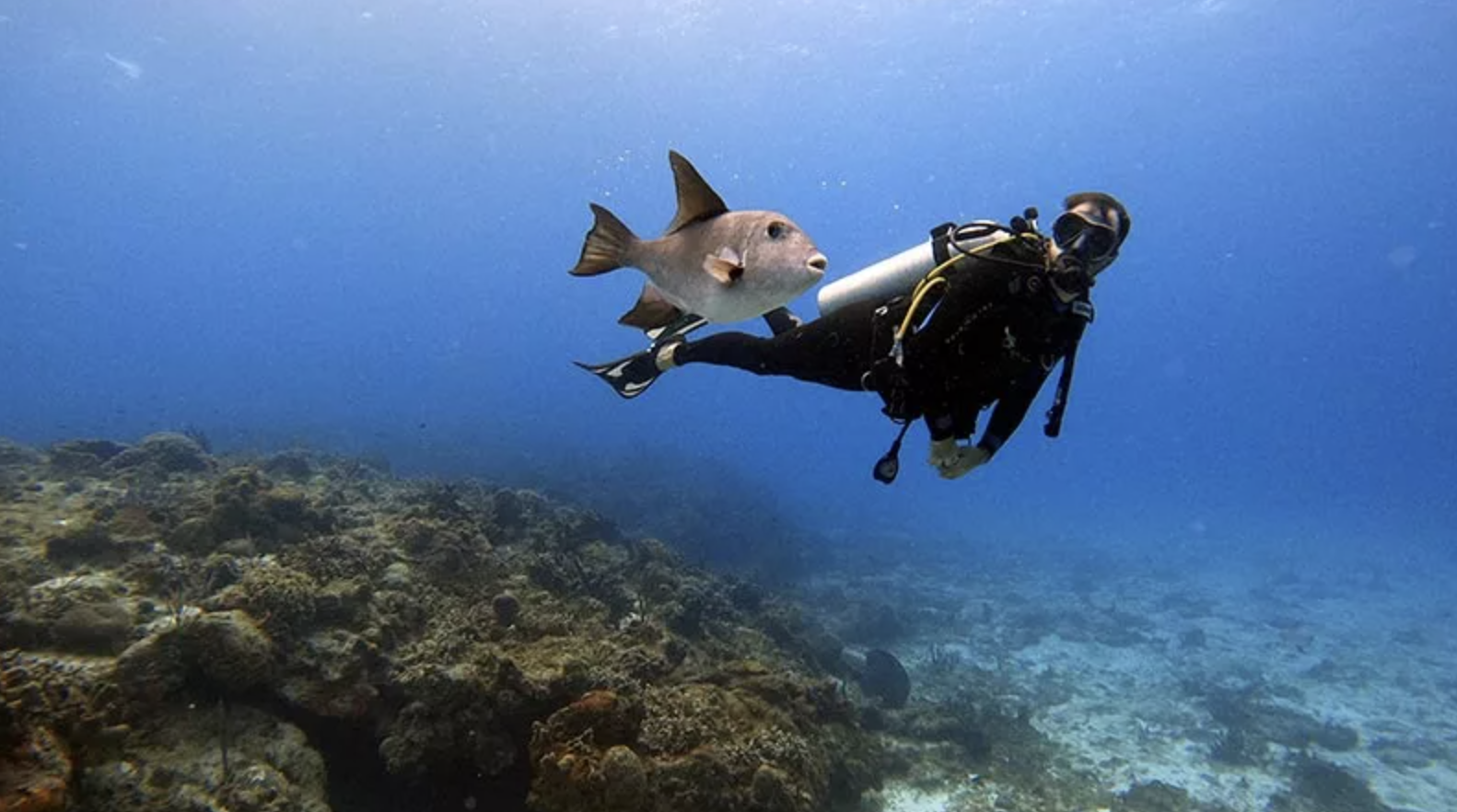 PADI Underwater Navigator Specialty Course gallery 4