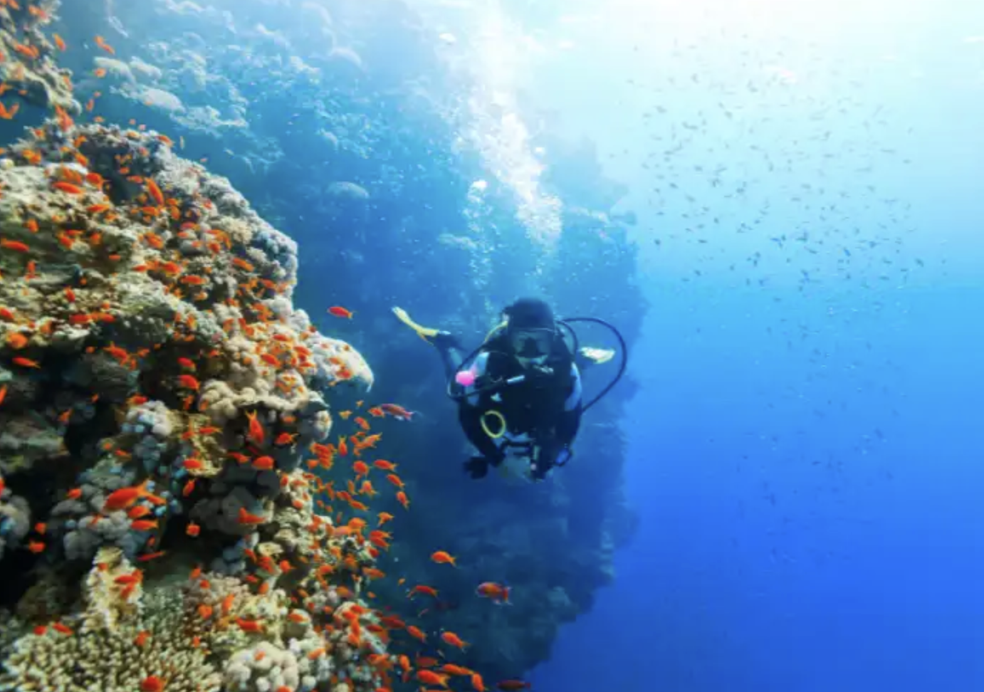 PADI Underwater Navigator Specialty Course gallery 3