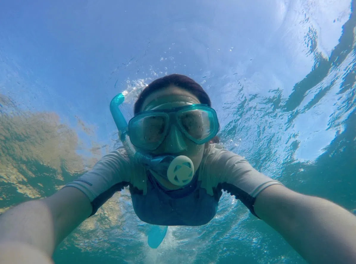 All-Inclusive Sailing and Snorkelling Trip in the Caribbean gallery 10
