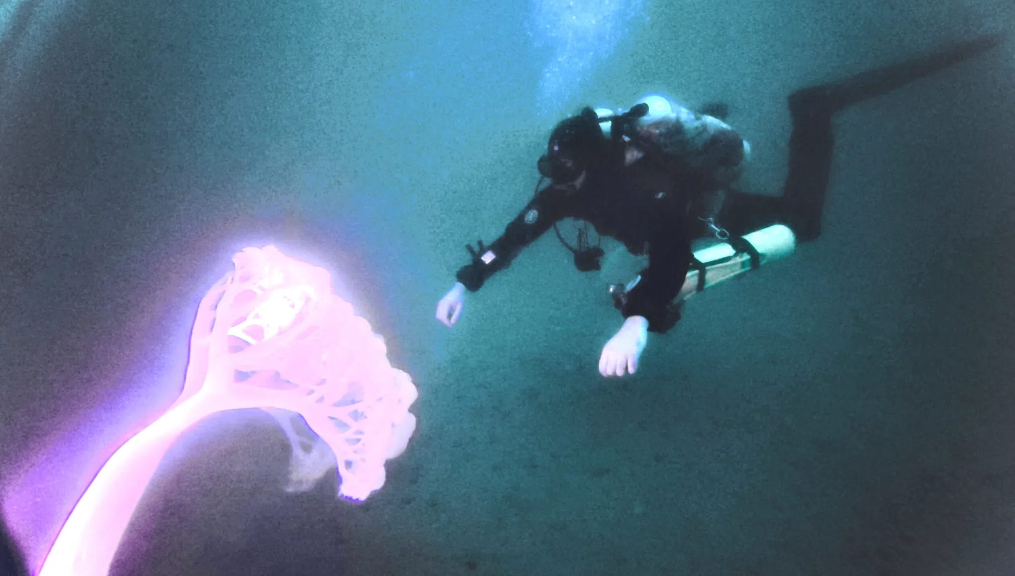 Tec 50: Extended-Range Technical Diving Programme, photo 2