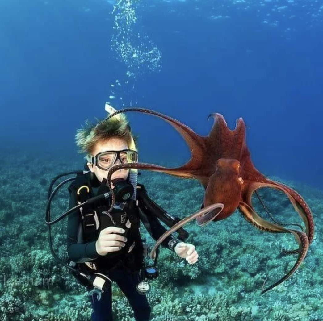 Master Seal Team Kids’ Specialty Aqua Missions (Ages 8+) gallery 4