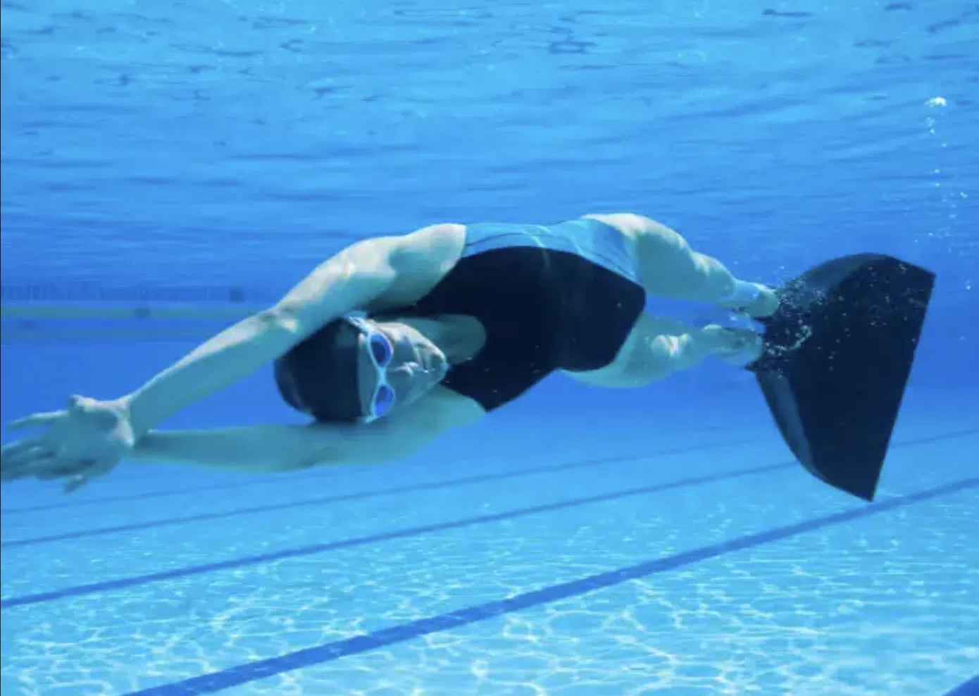 PADI Basic Freediver Course (Confined Water Training), photo 3