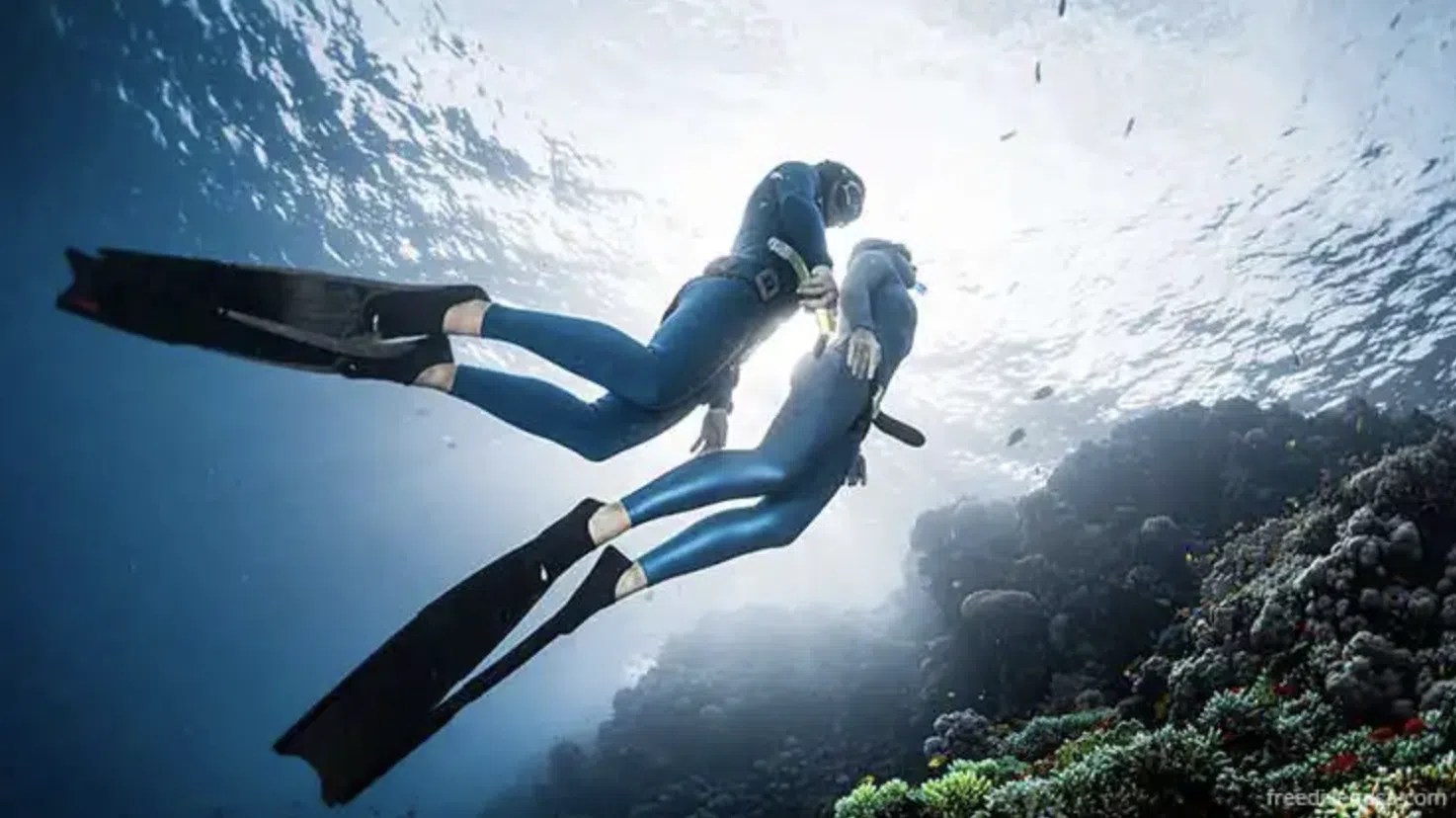 PADI Basic Freediver Course (Confined Water Training), photo 2