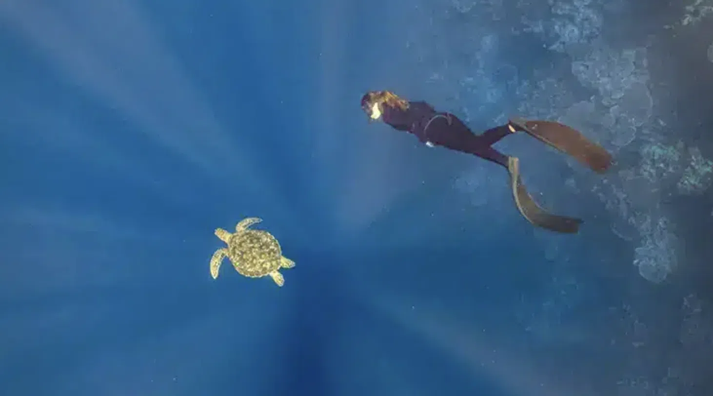 PADI Freediver Course (Confined + Open Water Training), photo 2