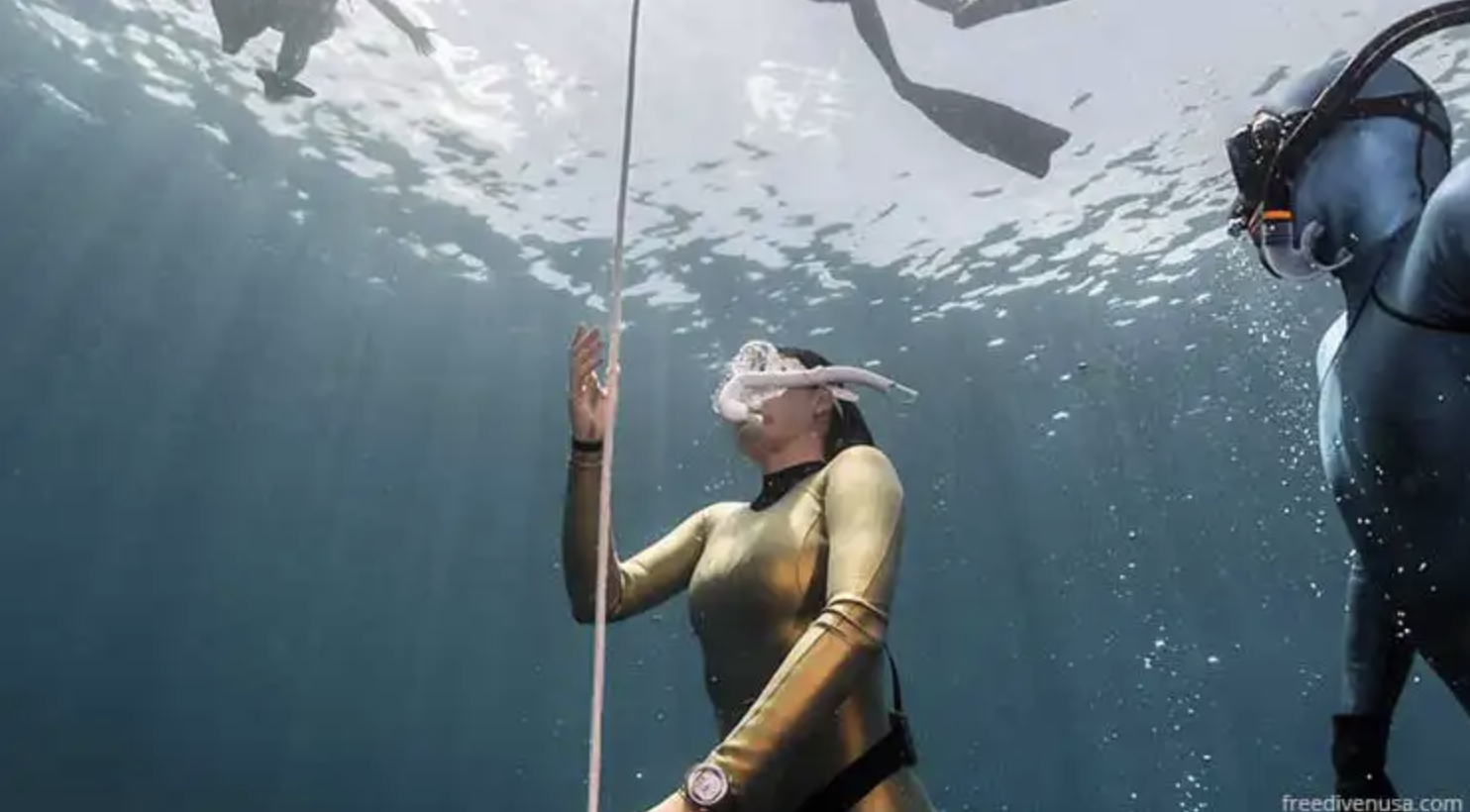 PADI Freediver Course (Confined + Open Water Training), photo 3