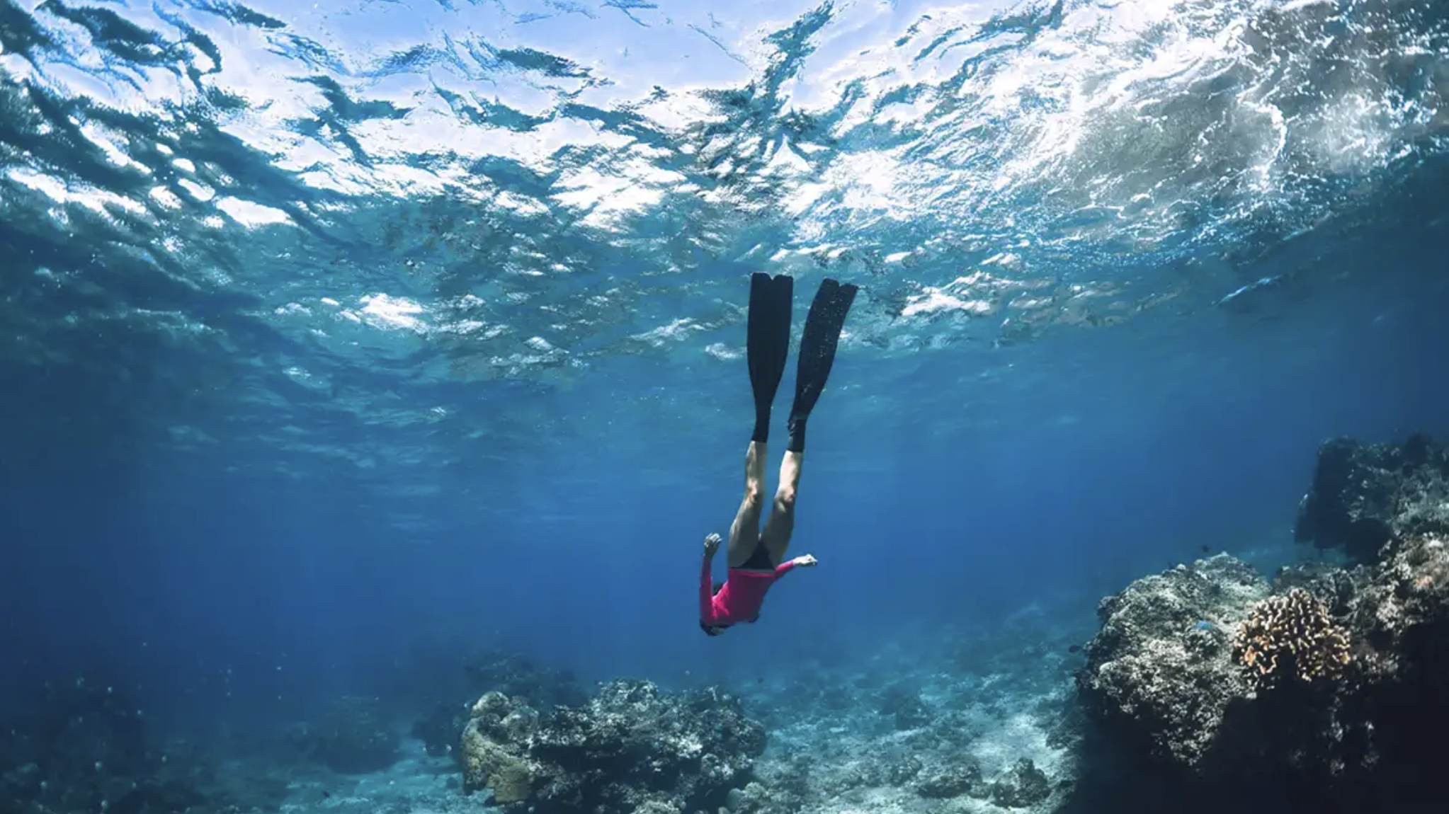 PADI Freediver Course (Confined + Open Water Training), photo 5