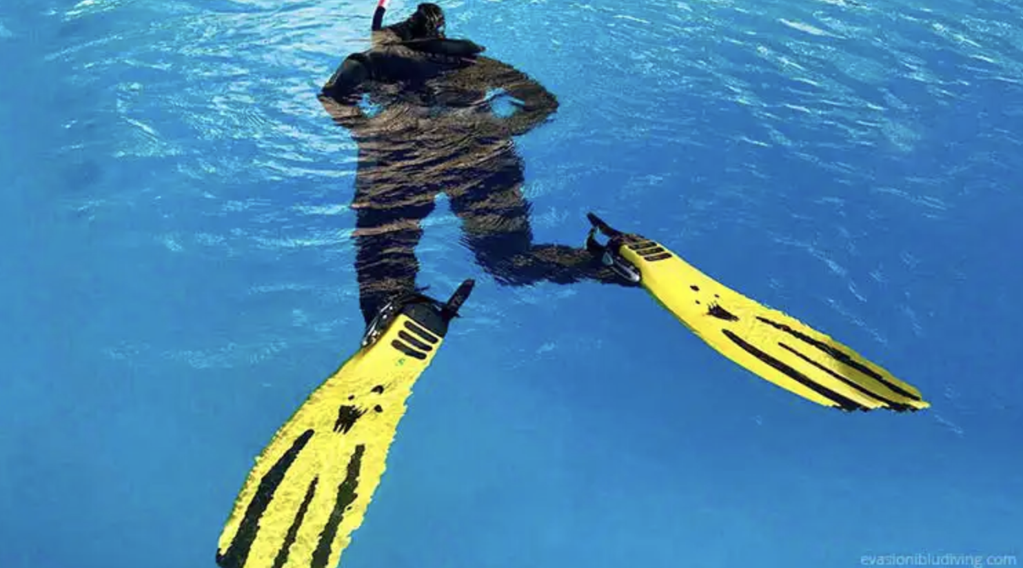PADI Skin Diver Course (Snorkelling & Breath-Hold Skills), photo 4