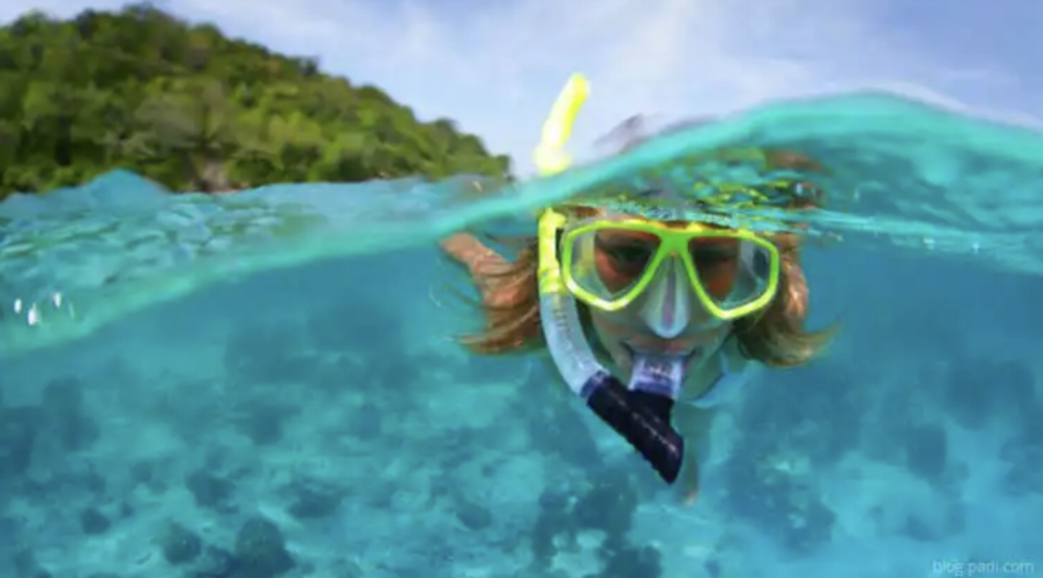 PADI Skin Diver Course (Snorkelling & Breath-Hold Skills), photo 3