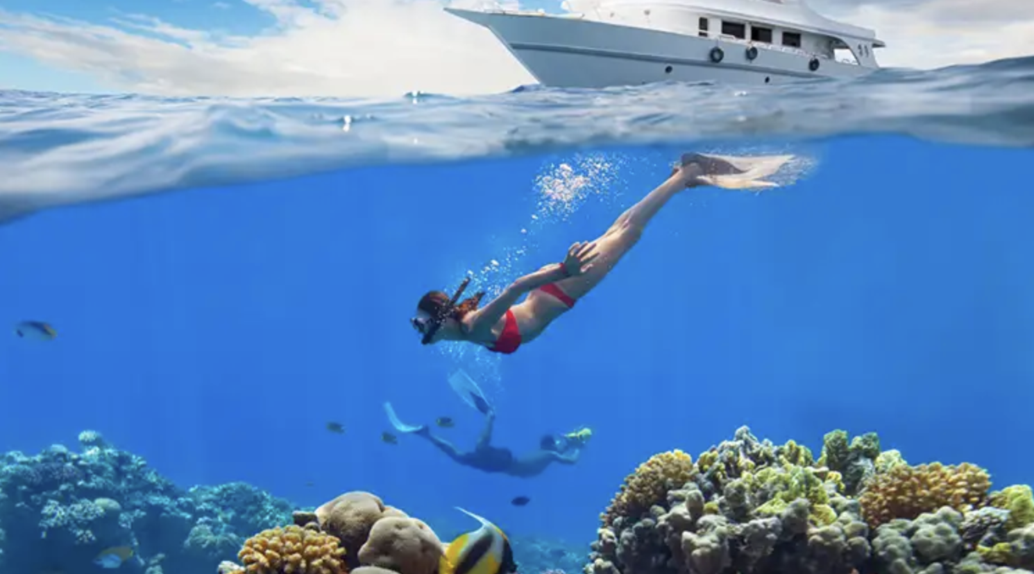 PADI Skin Diver Course (Snorkelling & Breath-Hold Skills) gallery 2