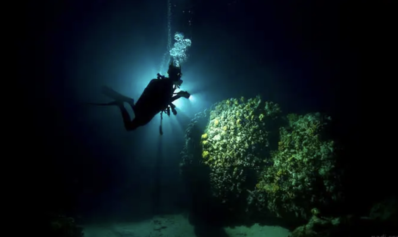 Guided Night Diving Adventure in Dibba Al Fujairah, photo 4