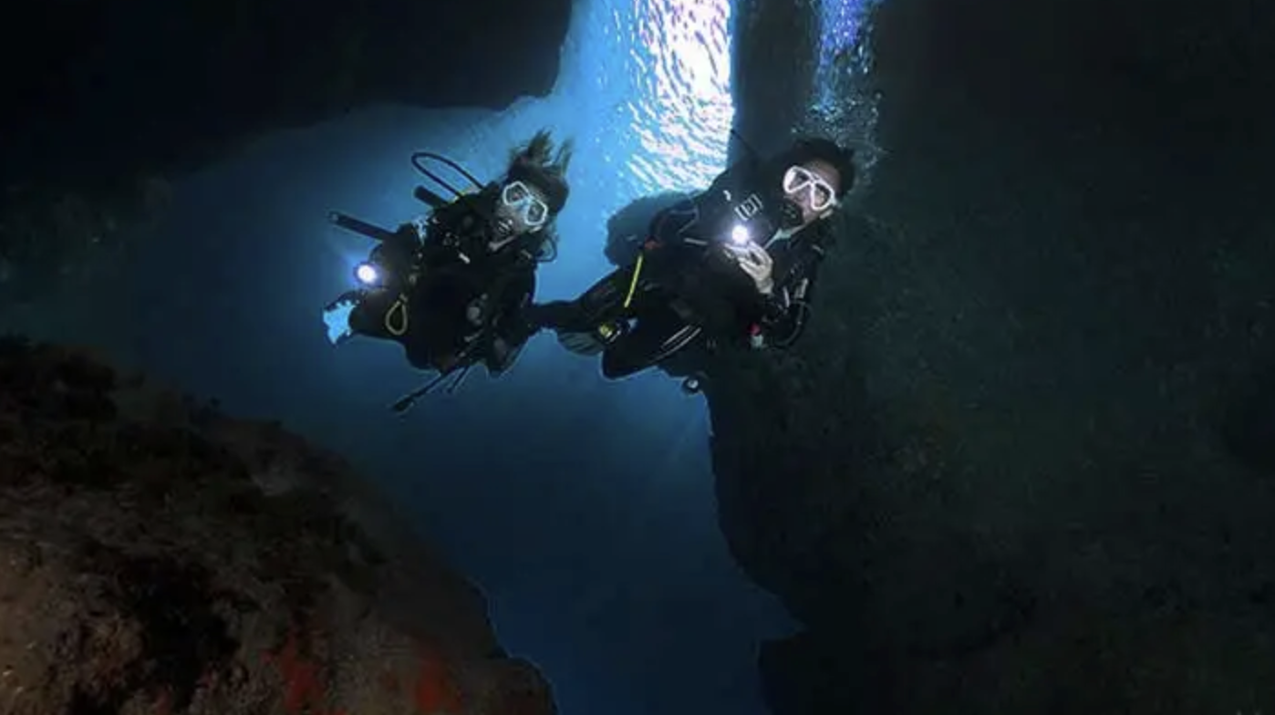 Guided Night Diving Adventure in Dibba Al Fujairah, photo 3