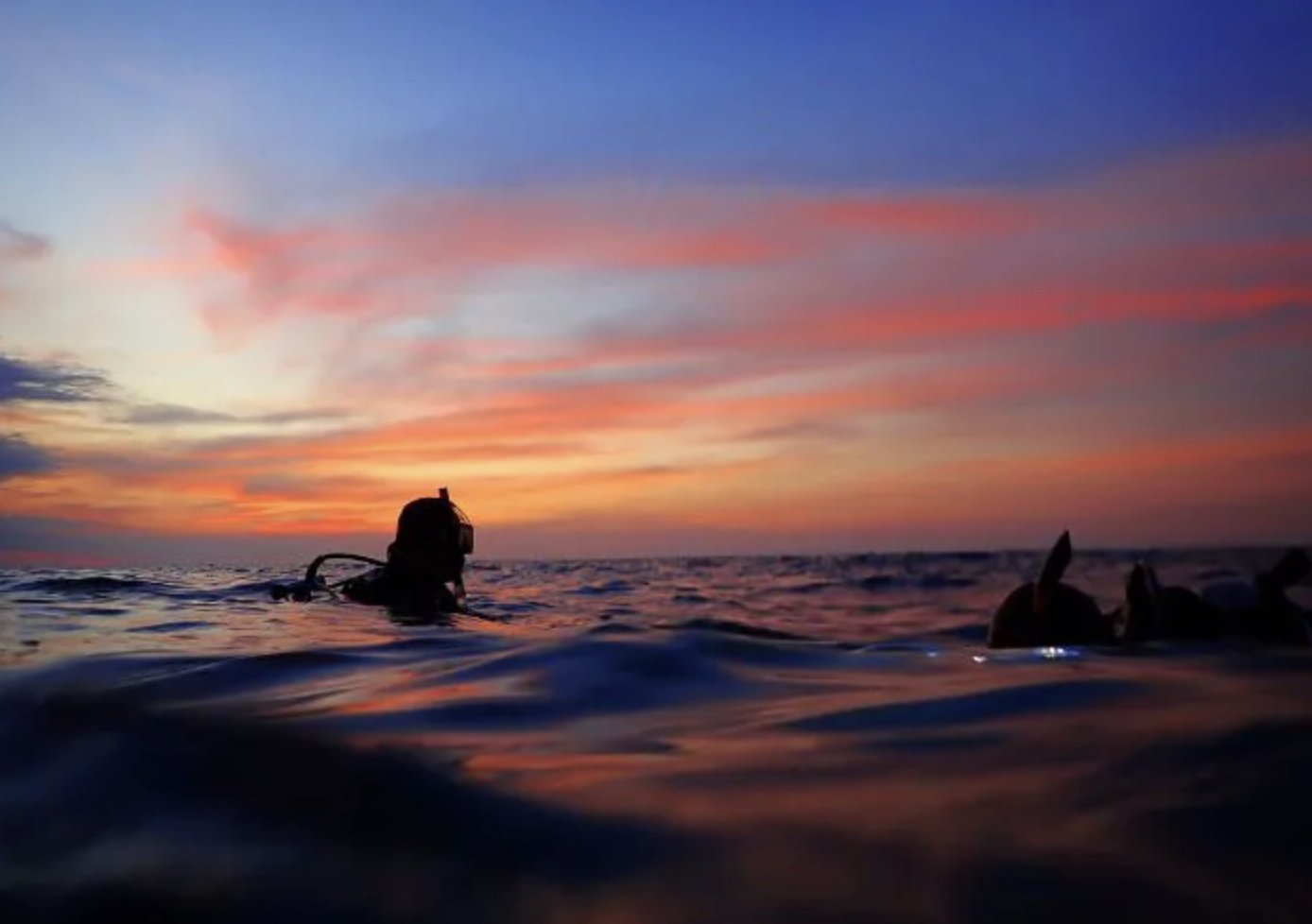 Guided Night Diving Adventure in Dibba Al Fujairah gallery 2