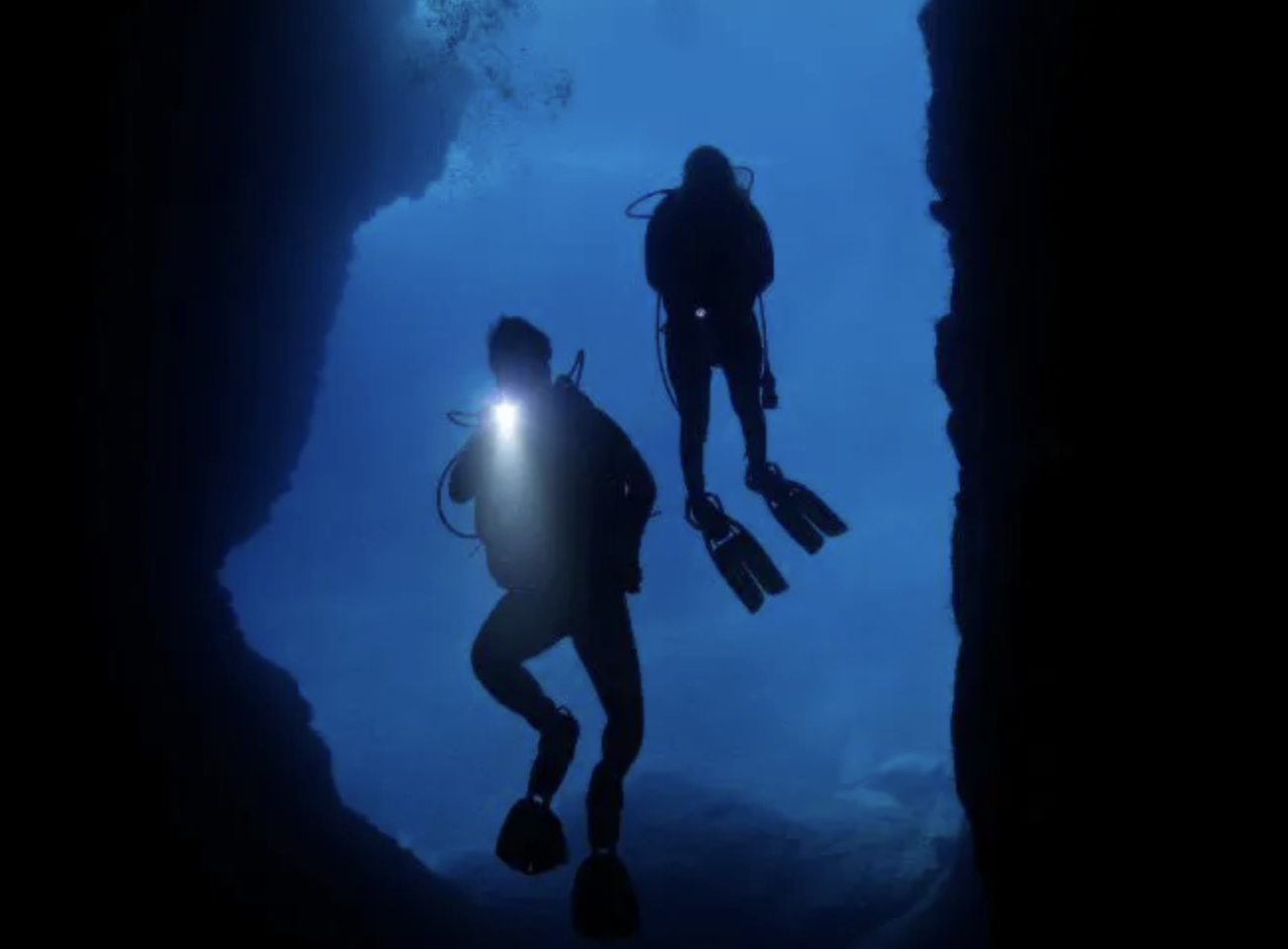 Guided Night Diving Adventure in Dibba Al Fujairah, photo 5