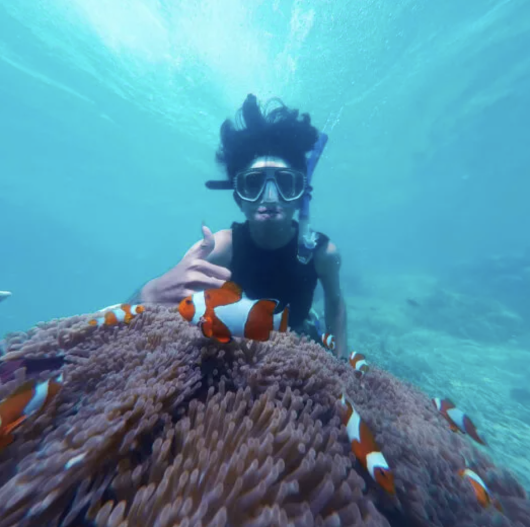 Snorkelling Trip in Dibba Al Fujairah (Morning or Afternoon), listing photo